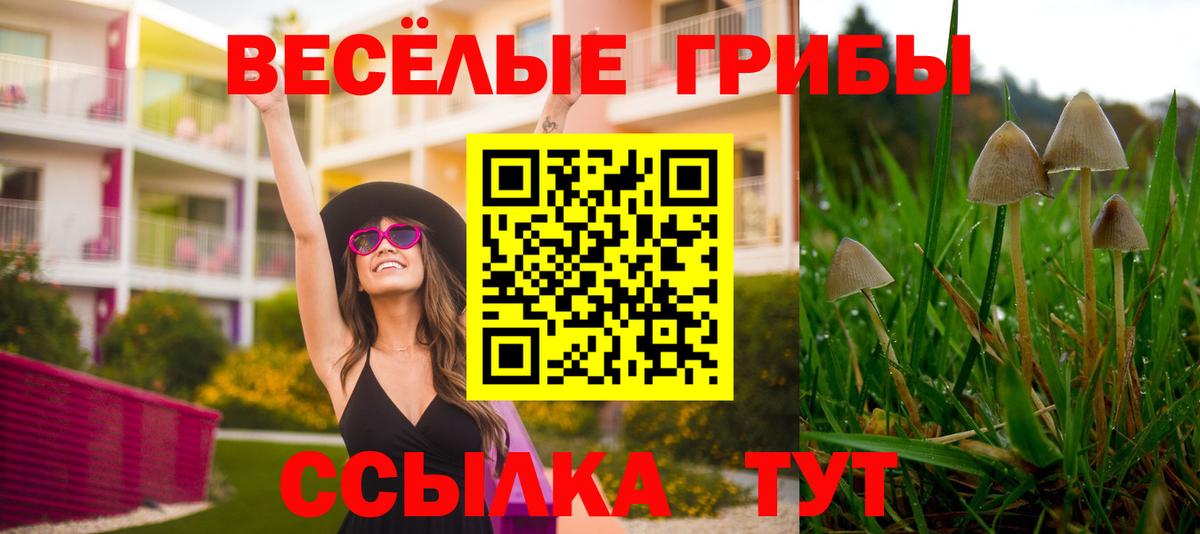 Псилоцибиновые грибы мицелий  Галлюциногенные грибы Magic Shrooms  Вход с VPN  Кушва 
